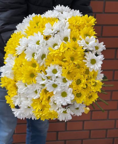 Купить букет из разноцветных хризантем с доставкой по Петровск-Забайкальскому